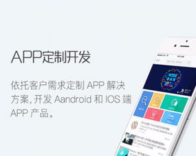 科技引領(lǐng)，匠心打造 中軟硅谷信息科技的 App 開發(fā)與網(wǎng)站推廣之道
